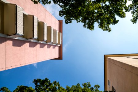 Upwards, Perspective, Trees