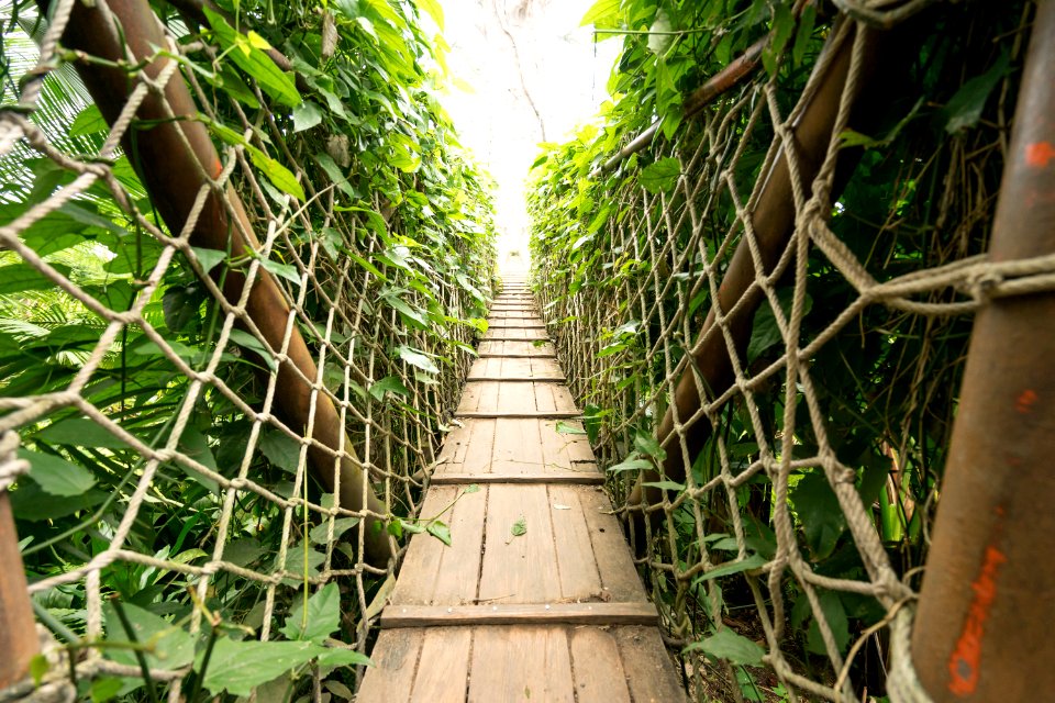 Green, Plank, Bridge