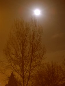 Noite, Lua photo