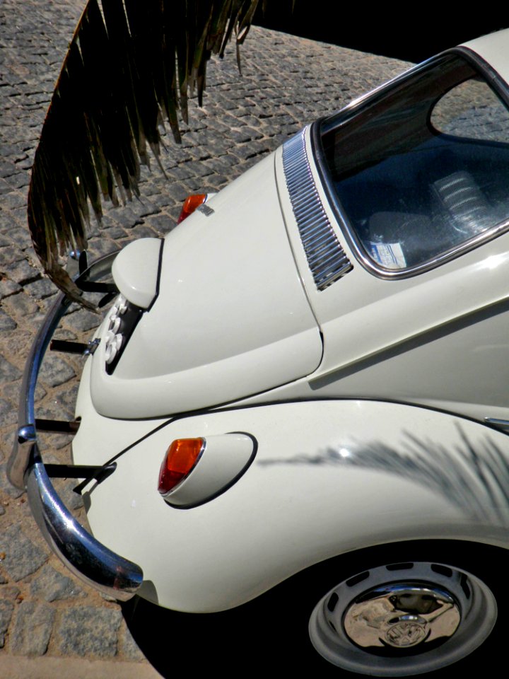 Carocha, Volkswagen