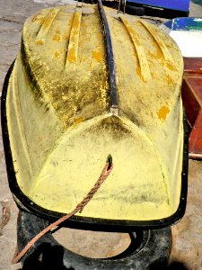 Yellow, Amarelo, Colour