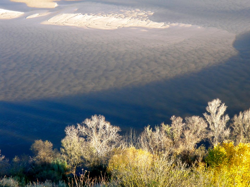 Arbustos, Folhagens, Rio margens