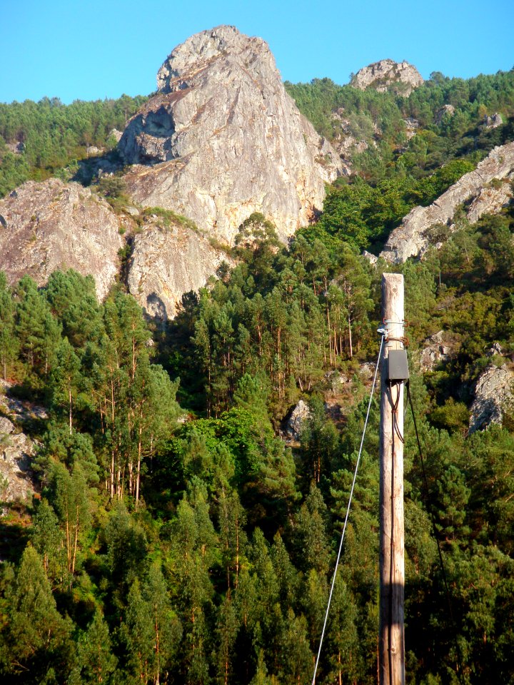 Penhascos, Bosques,  rvores