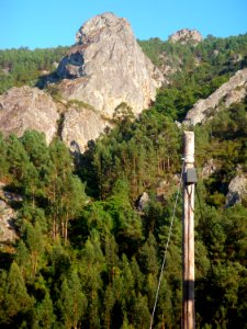 Penhascos, Bosques,  rvores