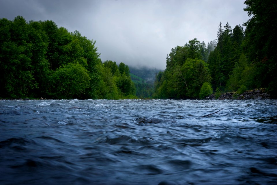 Near rainier national park, Washington, United states