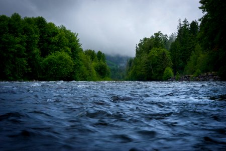 Near rainier national park, Washington, United states photo
