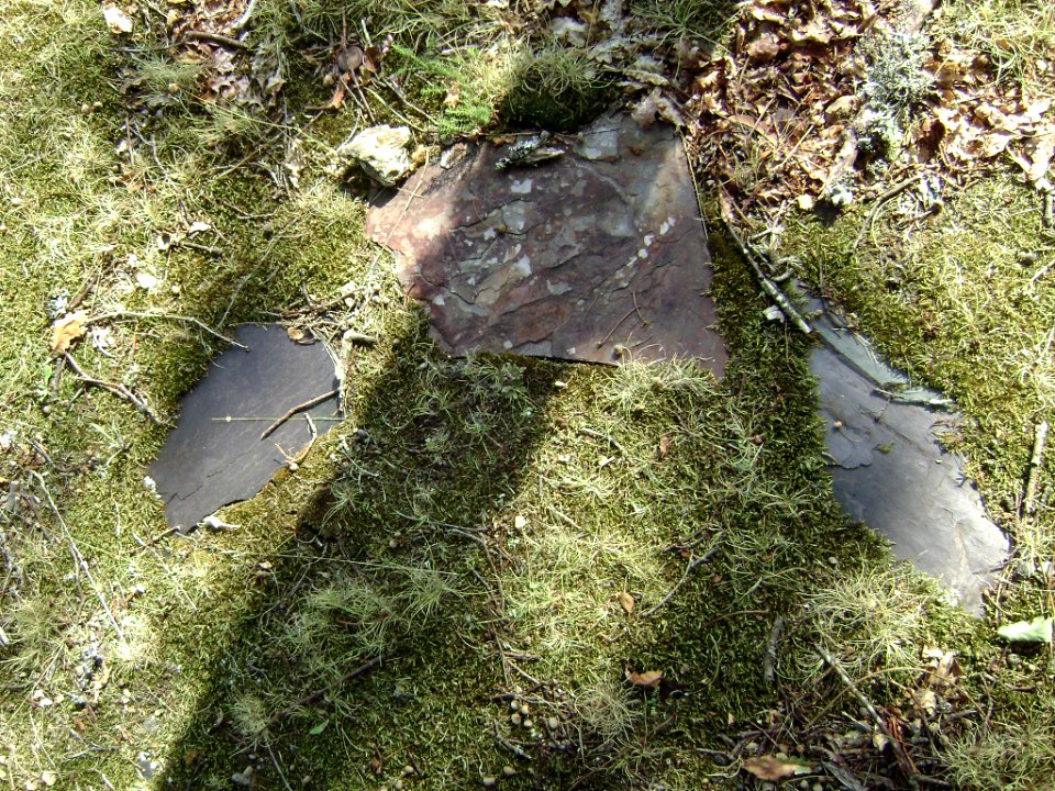 Stones, Pedras, L quens