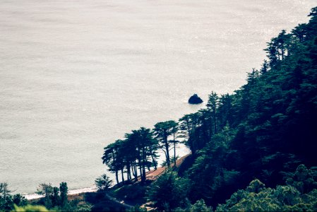 San francisco, United states, Forest