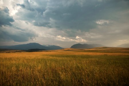 landscape photography of grass plains under cloudy sky during daytime photo