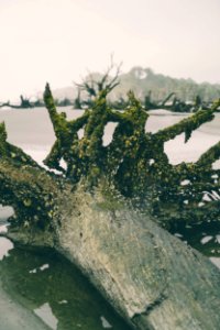 Charleston, United states, Mysterious