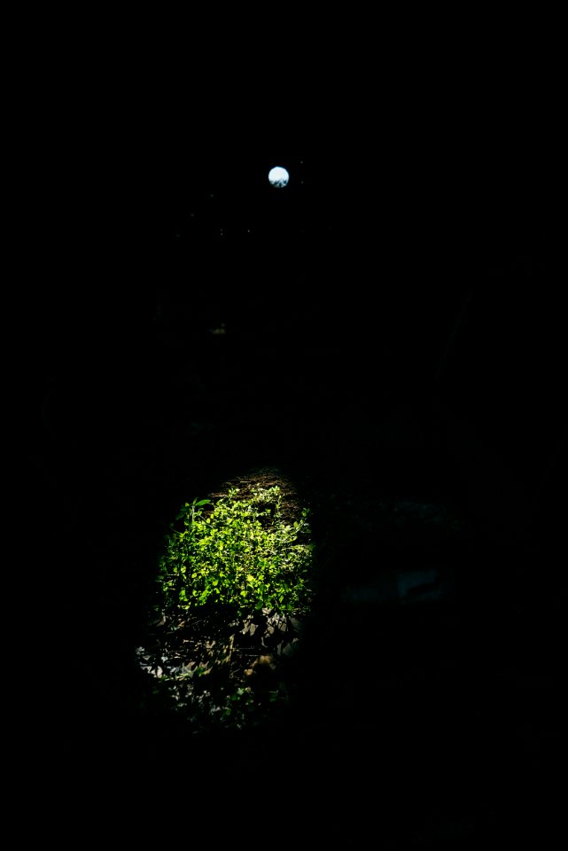 Dark, Dramatic, Hole