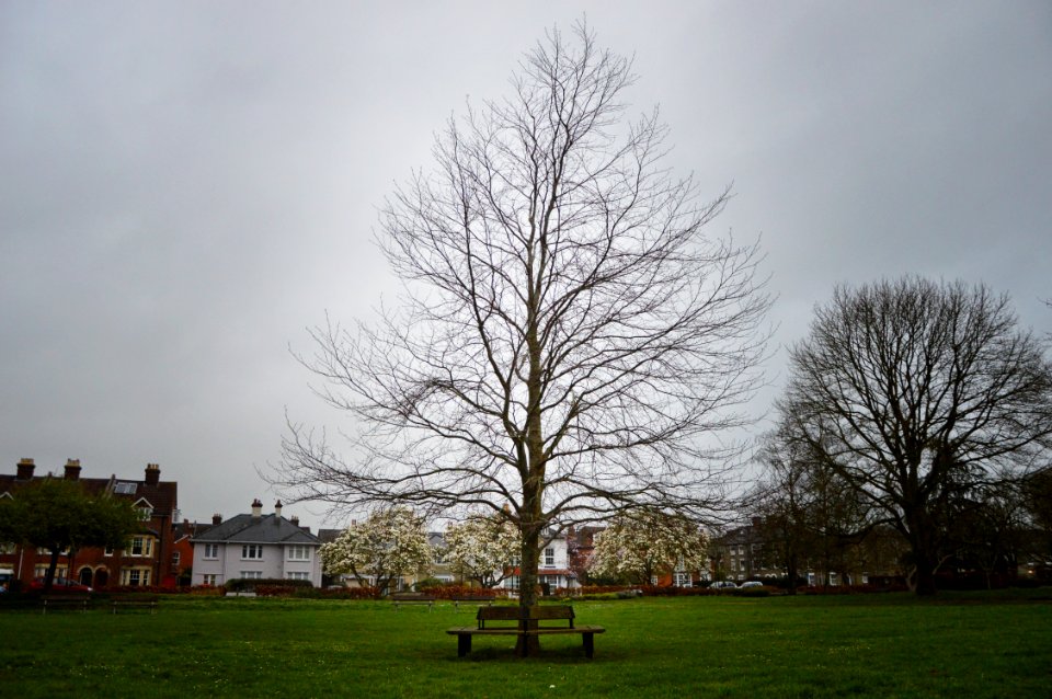 Salisbury, United kingdom, City