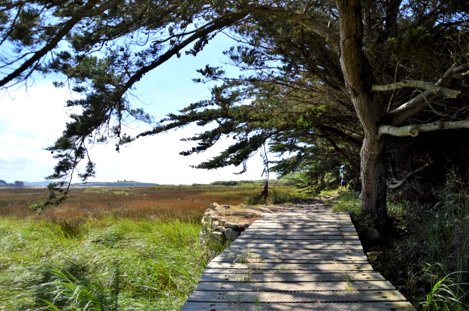 Brittany, France, Path