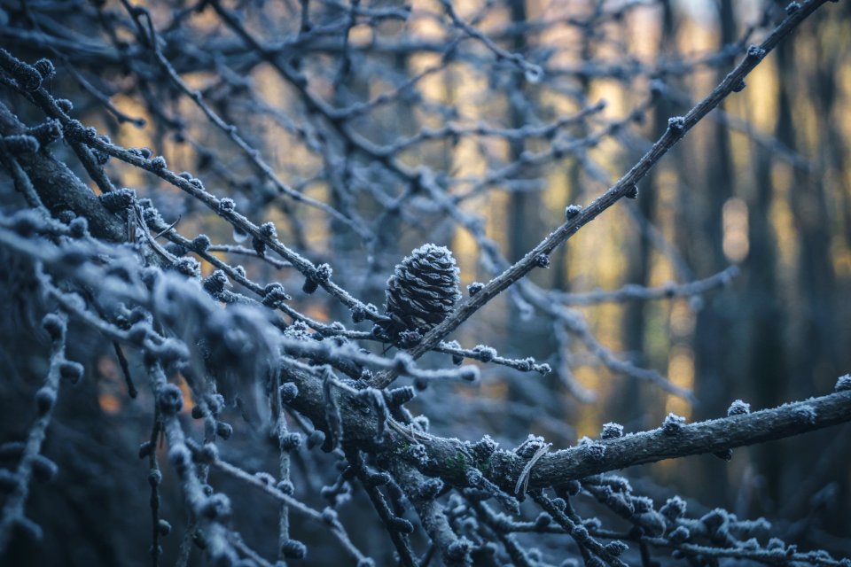 Atmoshpere, Warm, Cone