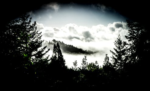 Mount tamalpais, United states, Hovering photo