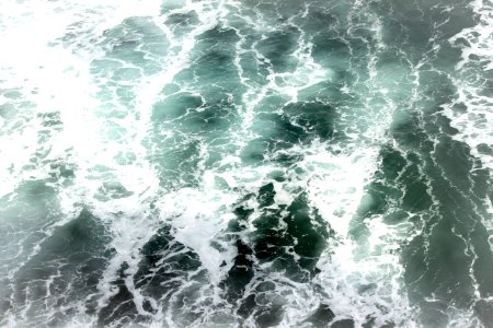 New zeal, Tomahawk beach, Ocean