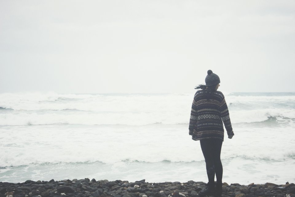 New zeal, Nature, Roaring bay