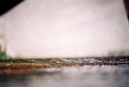 Blur, Moss, Walls