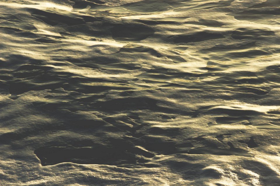 Allan beach, Cape saunders, New zeal