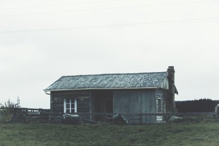 Kaka point, New zeal, Instagram