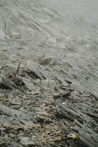 New zeal, Mount aspiring national park, South isl
