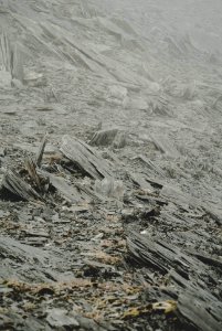 New zeal, Mount aspiring national park, South isl photo