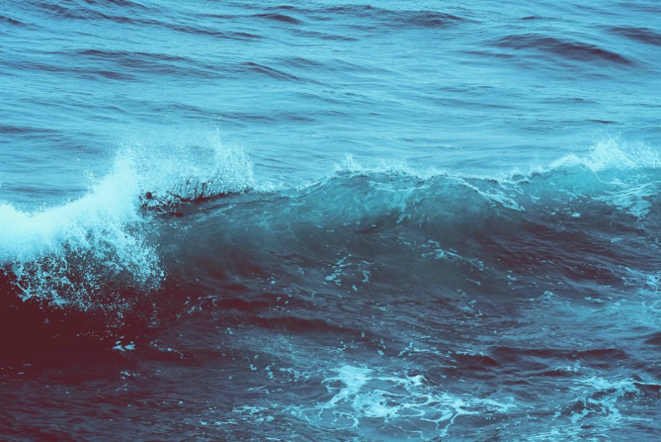 waves of body of water