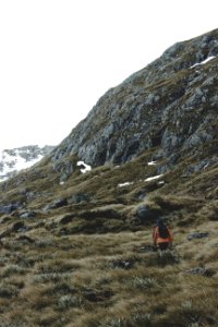 Wanaka, New zeal, White
