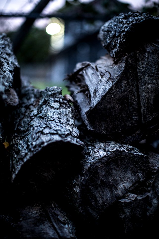 Freeport, United states, Bokeh