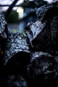 Freeport, United states, Bokeh