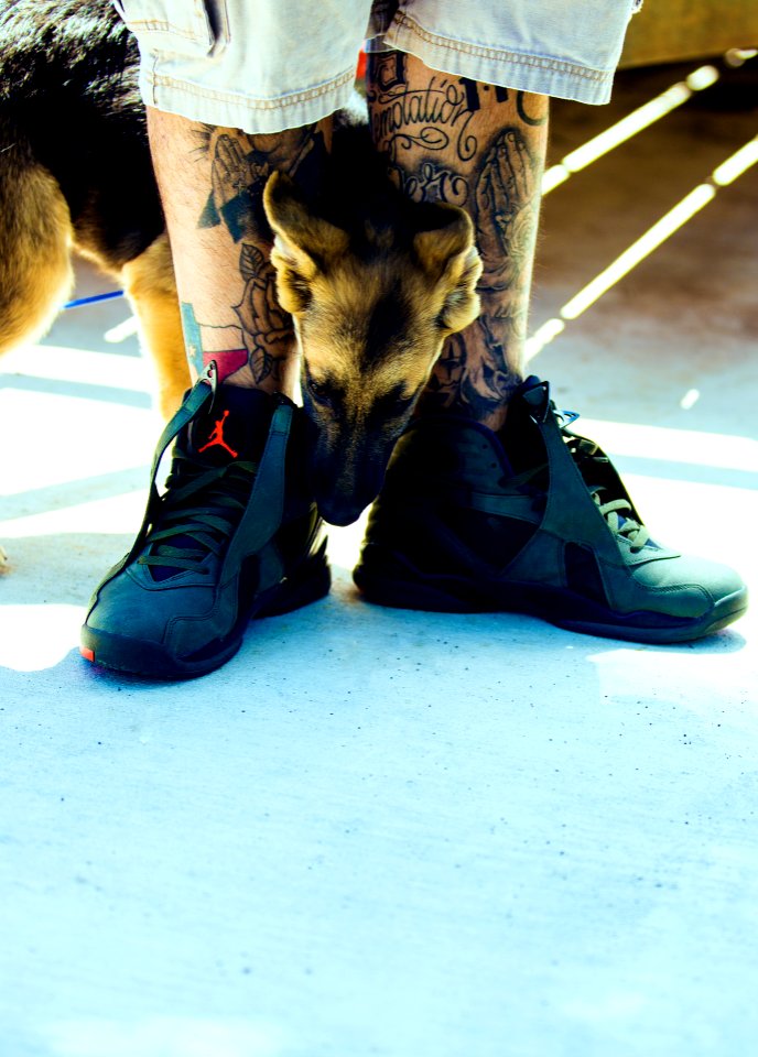 Dogs, Tattoos, Jordans