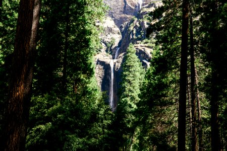 green trees near gray mountain during daytime photo