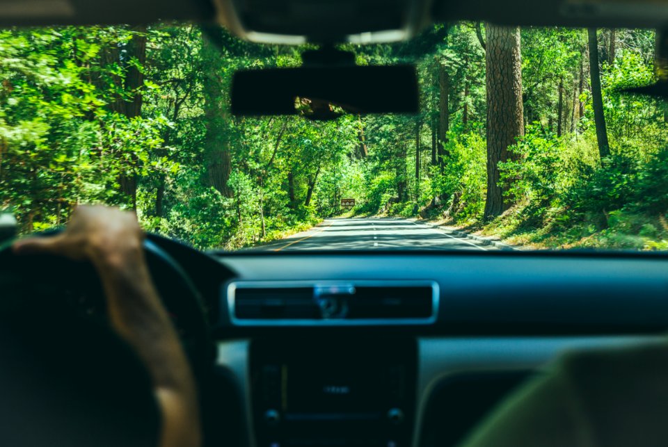 person sitting on vehicle while driving
