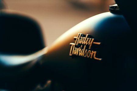 black Harley-Davidson motorcycle fuel tank photo