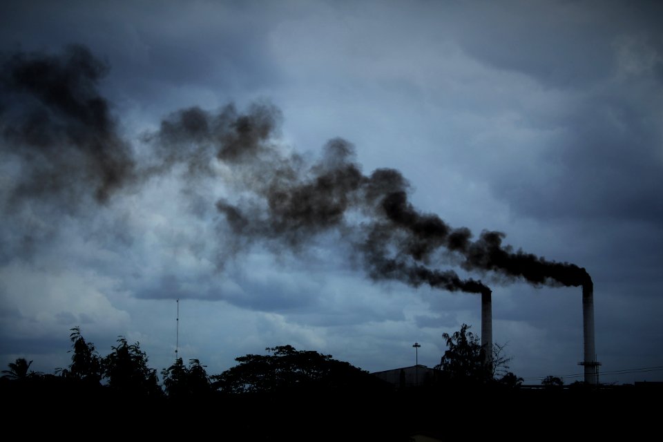 Plant, Chimney, Smoke