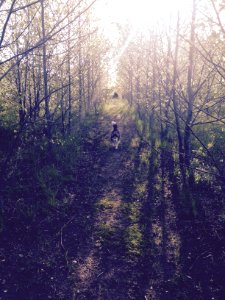 Exposure, Sun, Beautiful