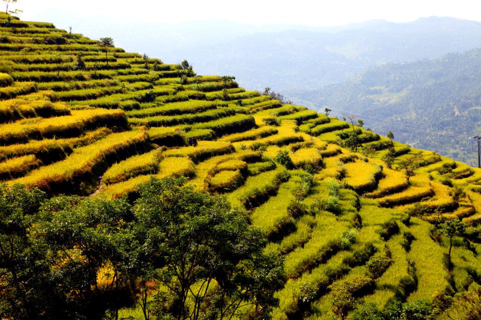 Sindhupalchok, Nepal