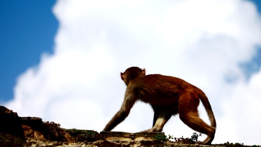 Kathm, Nepal photo