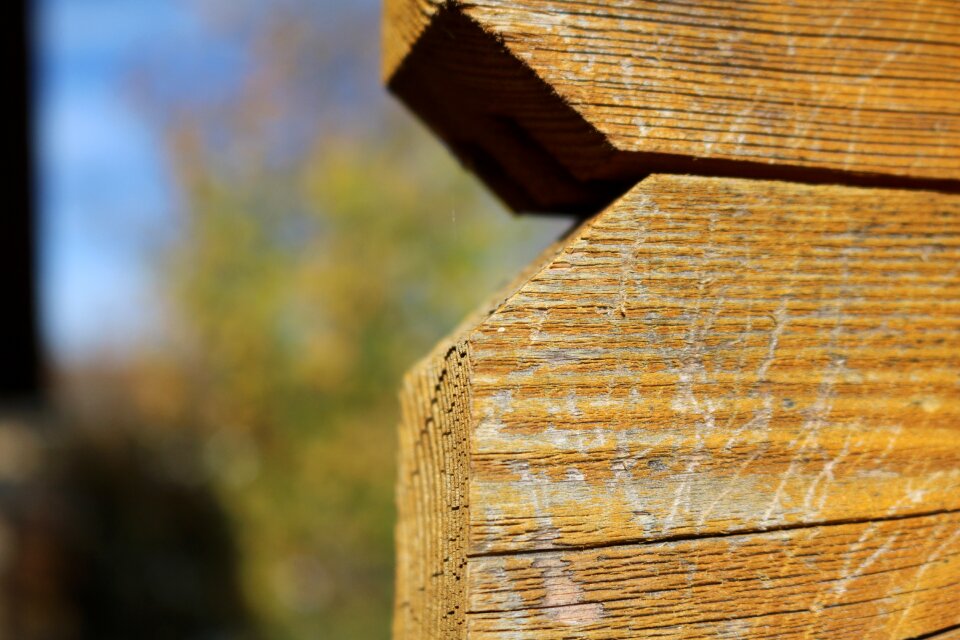 Boards paling privacy