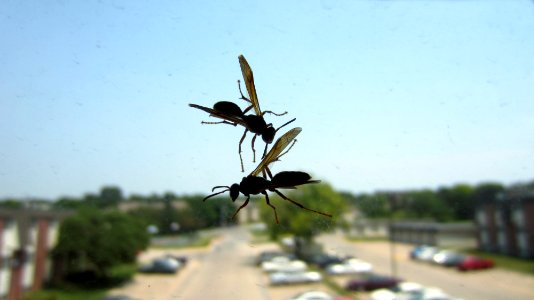 Omaha, United states