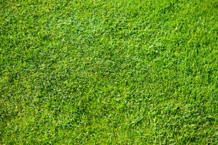 Texture, Field, Golf