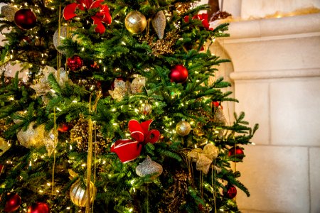 Merry, Christ mas, Christmas tree