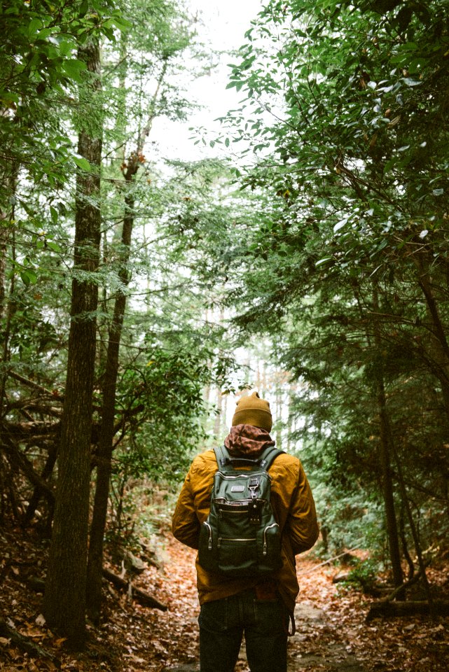 person with backpack walking through woods