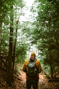 person with backpack walking through woods photo