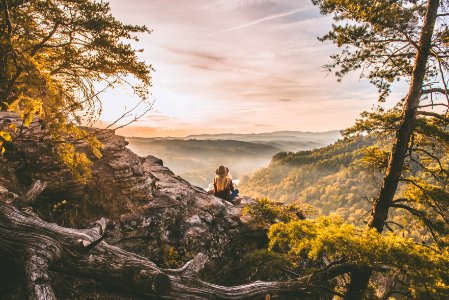 person standing on cliff near tree on mountain photo