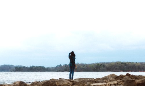 Bay, Rocks, Searching photo