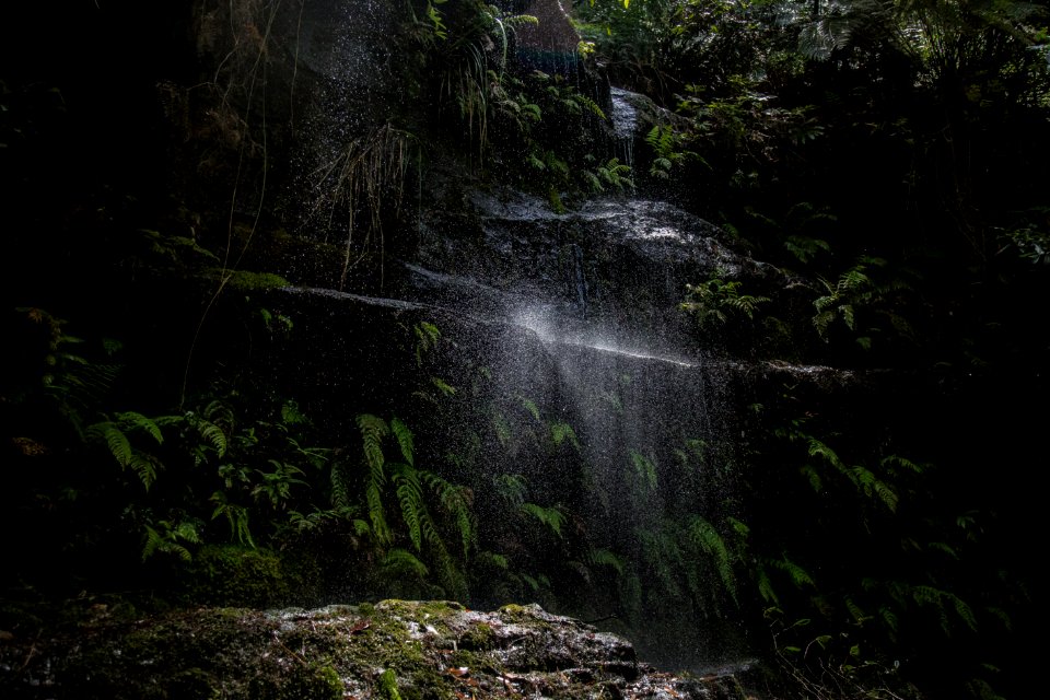 photography of waterfall