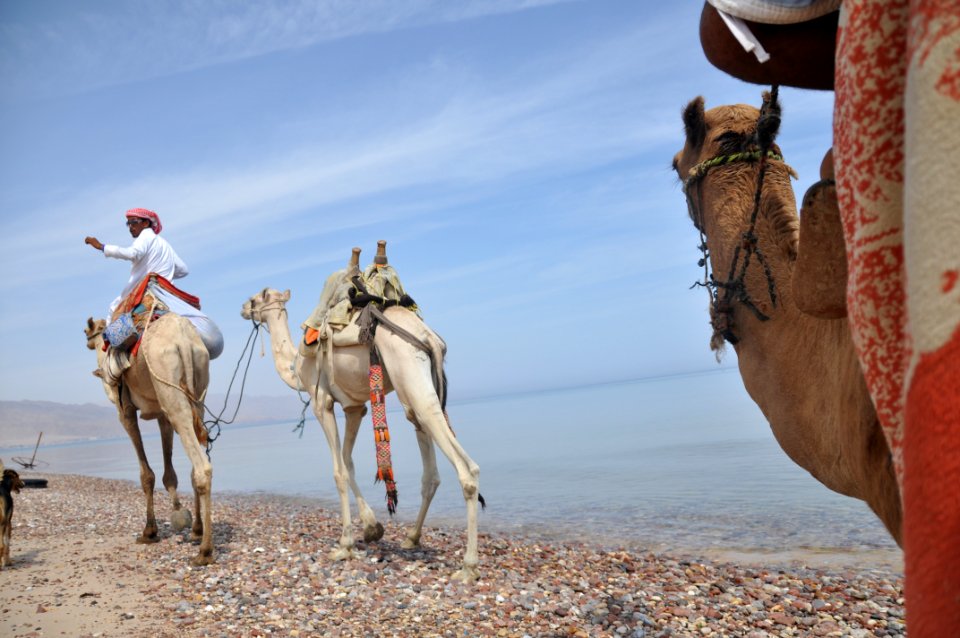 Sinai, Egypt, Bedouins