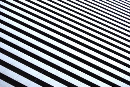 white and black striped illustration photo