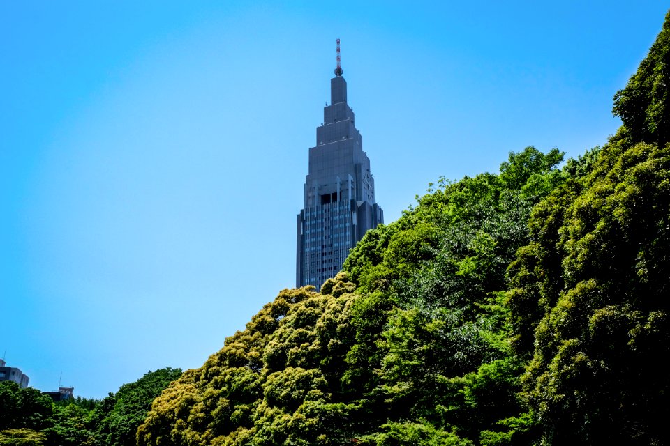 Shinjuku gyoen national garden, Shinjukuku, Japan